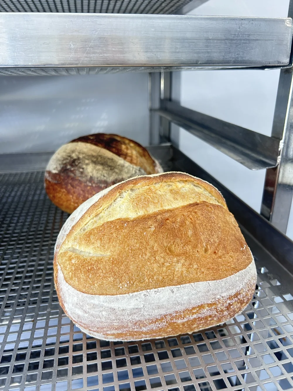 Baked sourdough showing crust development after real JWC Academy practice