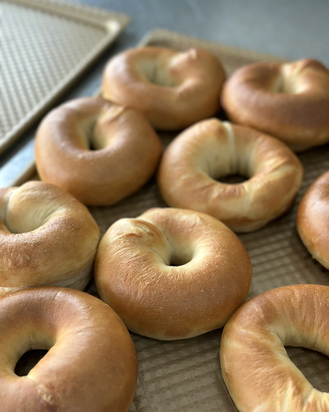 Real BWC baked bagels cooling on trays at JWC Academy
