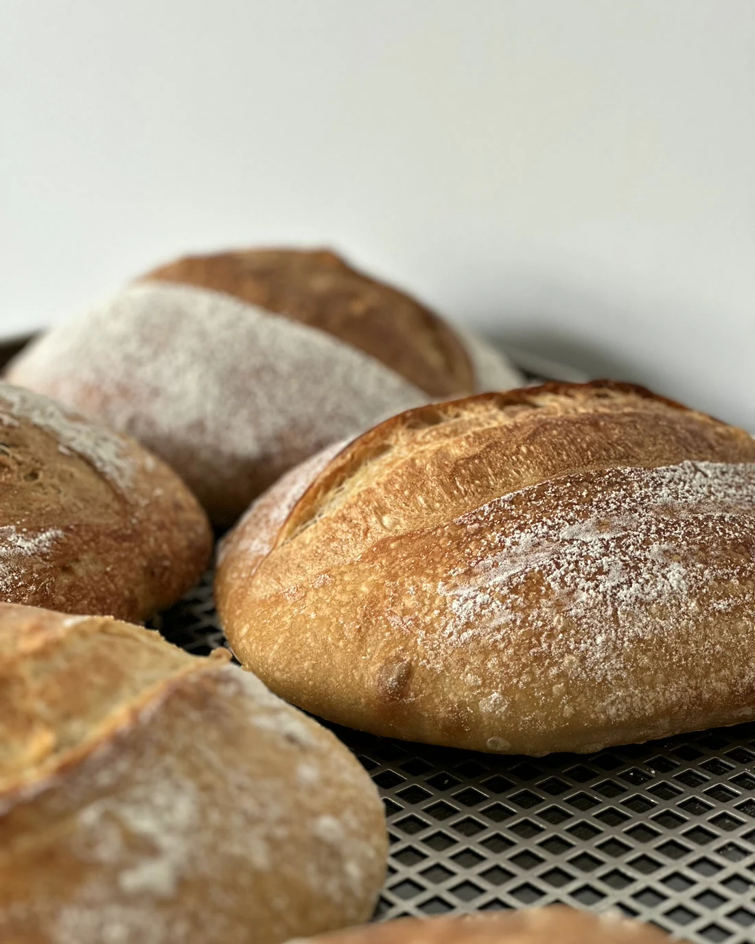 Real BWC scored sourdough loaves baked at JWC Academy