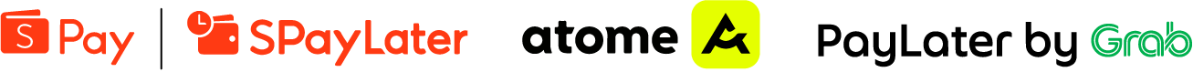 E-wallet and instalment payment logos